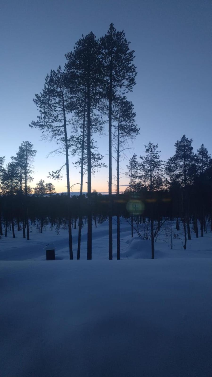 Villa Paadari Inari Exteriér fotografie